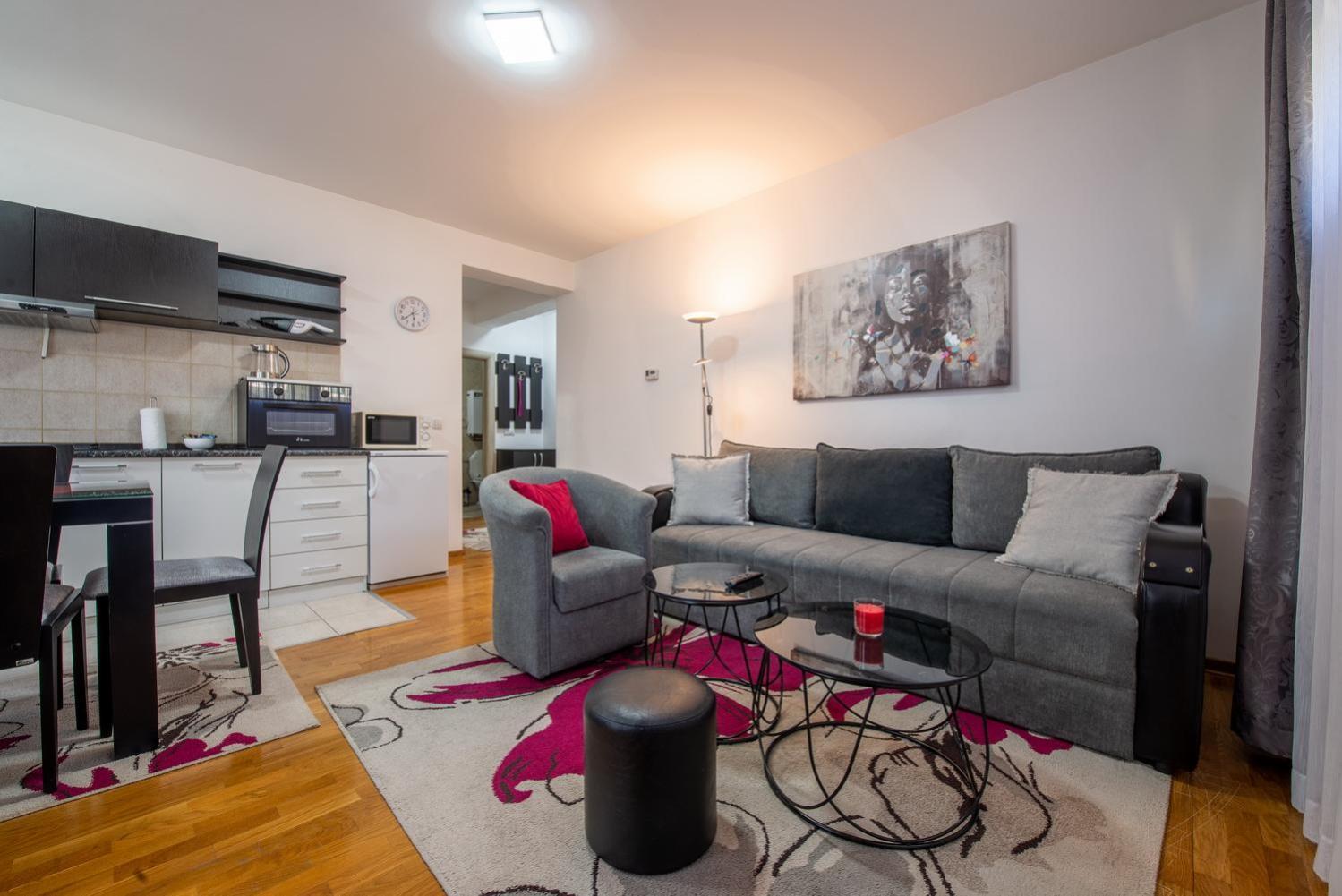 Apartment Maksi-Centar ズラティボール エクステリア 写真